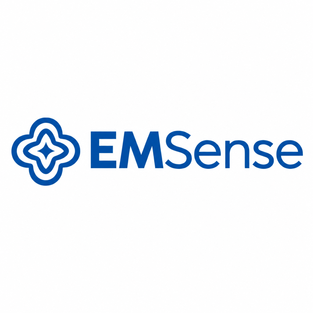 EMSense — Innovative Foot Tech